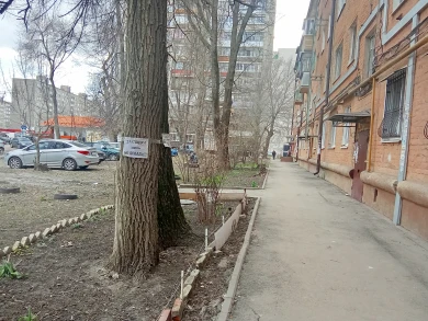 «Здесь закладки не делать!» Воронежские бабушки выставили наркоманам условие