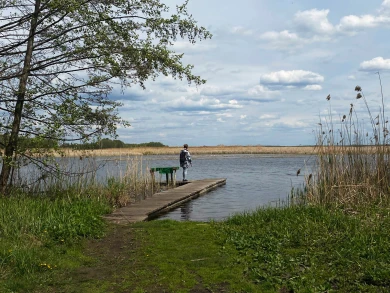 Настоящее лето. Потепление до +21° нагрянет в Воронежскую область