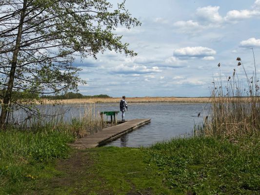 Настоящее лето. Потепление до +21° нагрянет в Воронежскую область