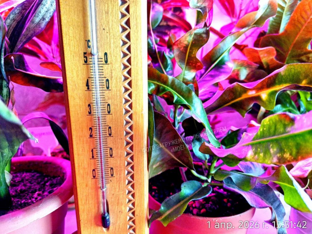 «В квартире +30°». Воронежцы плавятся от жары в последний день отопительного сезона