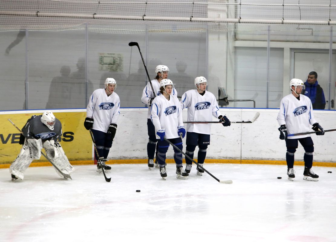 Новая хоккейная команда появится в&nbsp;Воронеже