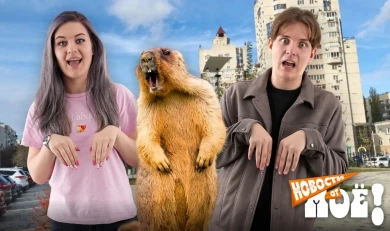 Как спугнуть танцора и покупка-разочарование: чем запомнилась воронежцам эта неделя 