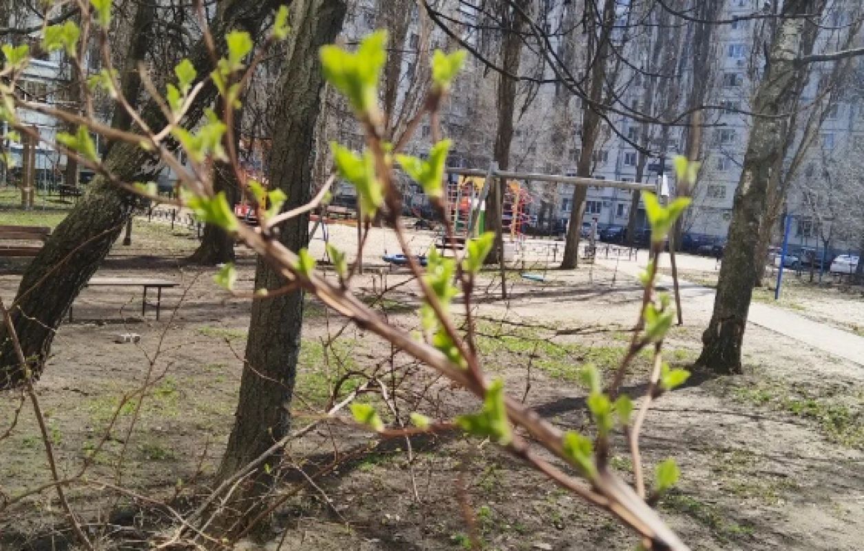 Прогноз погоды в Воронеже на воскресенье, 5 апреля