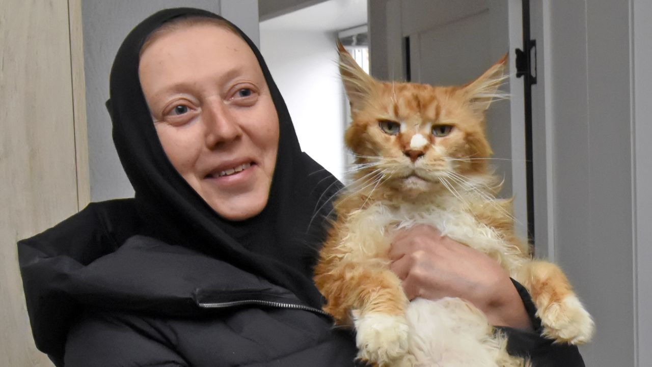 Как монахиня Арсения за&nbsp;31 год спасла&nbsp;20 тысяч кошек
