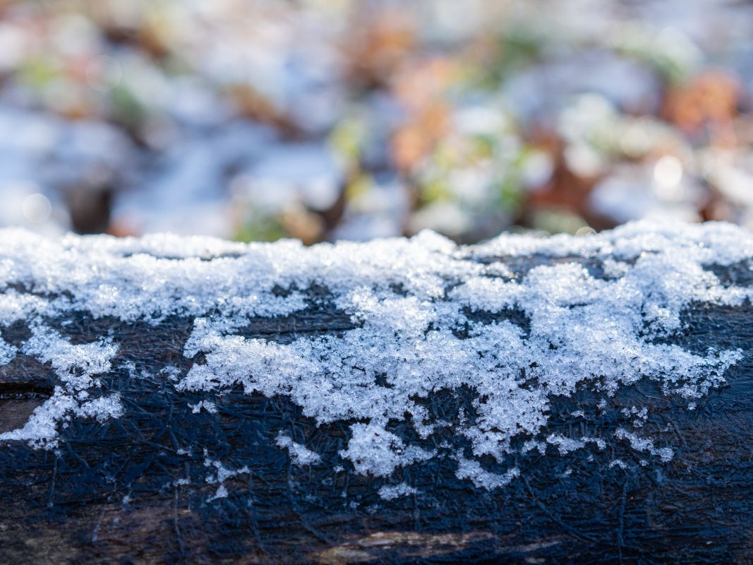 Куртки не&nbsp;убираем. Резкие перепады температур поджидают воронежцев