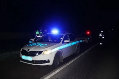Водителя расстрелянной полицейскими «Лады» поместили в спецприемник