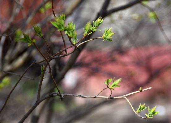 Прогноз погоды в Воронеже на вторник, 7 апреля