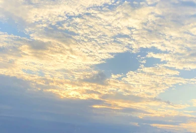 Беспилотники ВСУ атаковали Воронежскую область: военные назвали точное число дронов