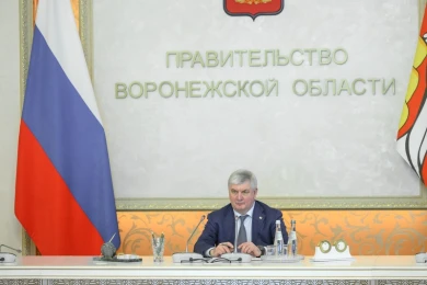 Услугой «социальная няня» воспользовались 411 воронежских семей в 2025 году