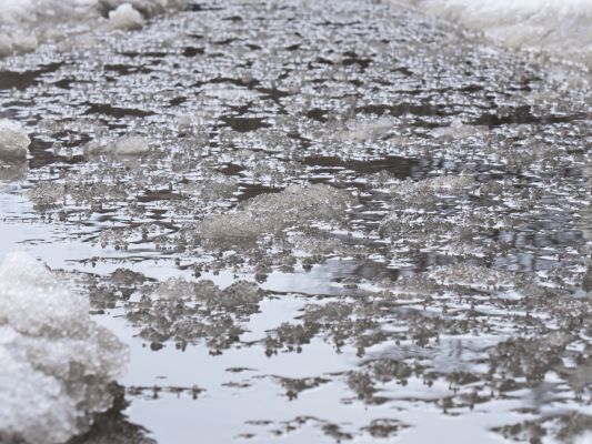 Выяснилось, когда снег с дождём покинет Воронеж