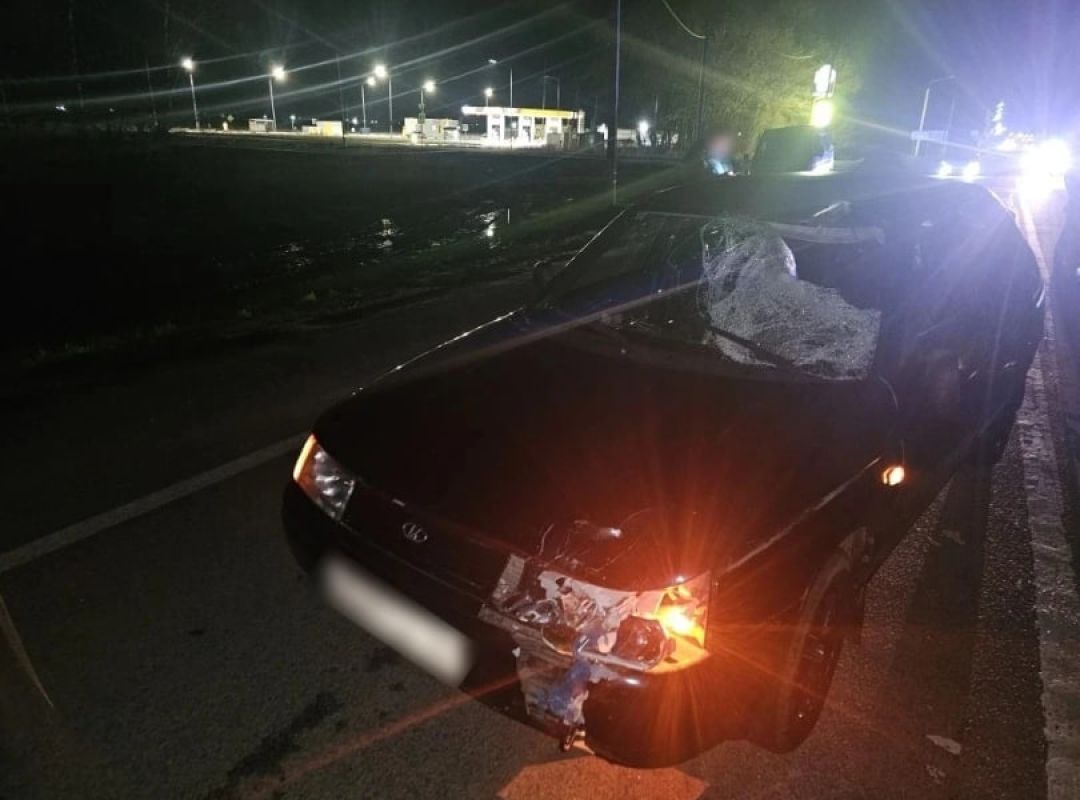 Мужчину насмерть сбили на&nbsp;воронежской трассе