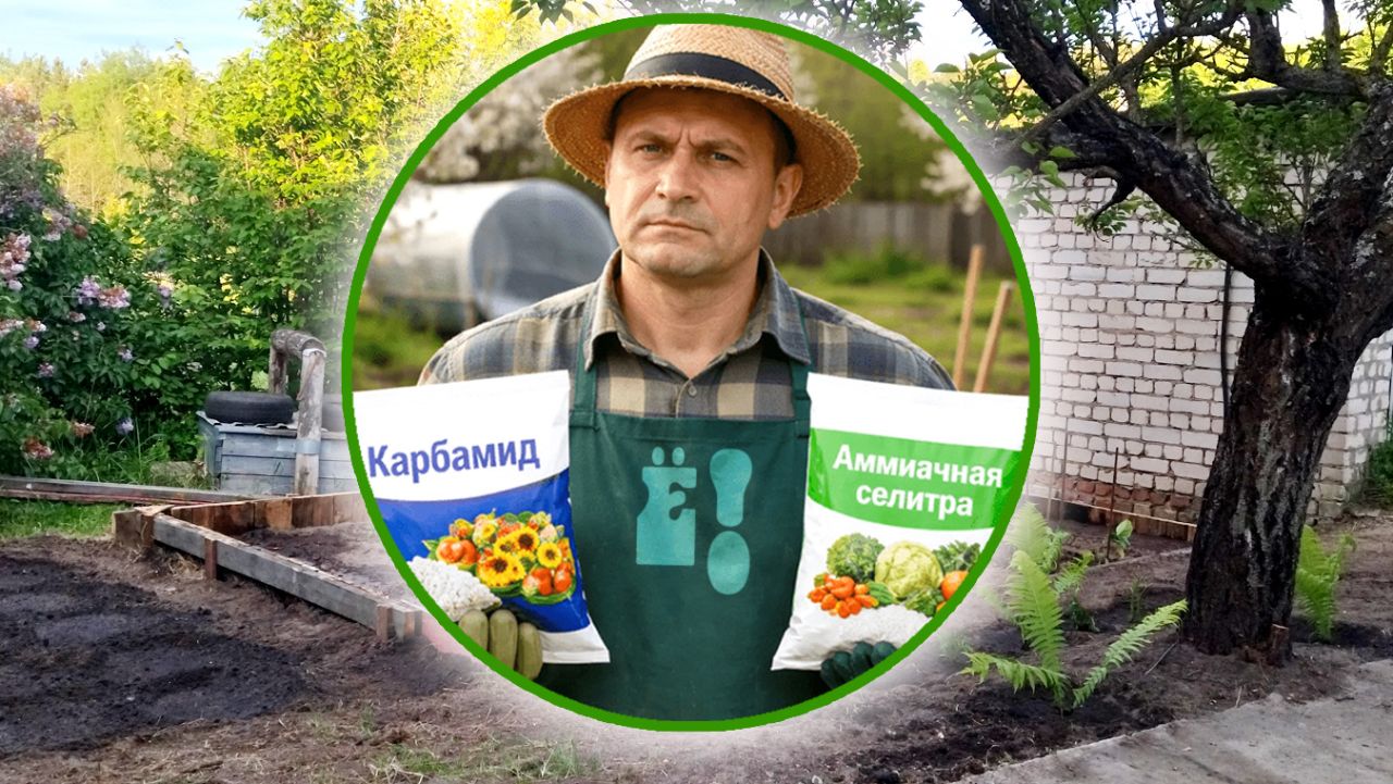 Карбамид или&nbsp;аммиачная селитра: что выбрать для весенней подкормки
