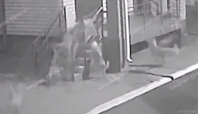 Что сделают с собаками, кошмарящими местных жителей под Воронежем