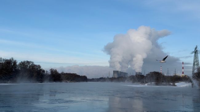Фото пейзажей нововоронежских школьников стали победителями международного конкурса