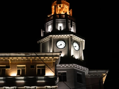 Псы держат в страхе воронежцев, почему не все рады завершению отопительного сезо...