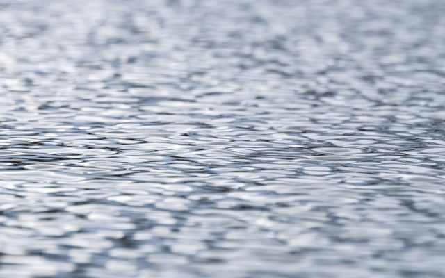 Легковушка вылетела с дороги в пруд в Воронежской области: есть пострадавший