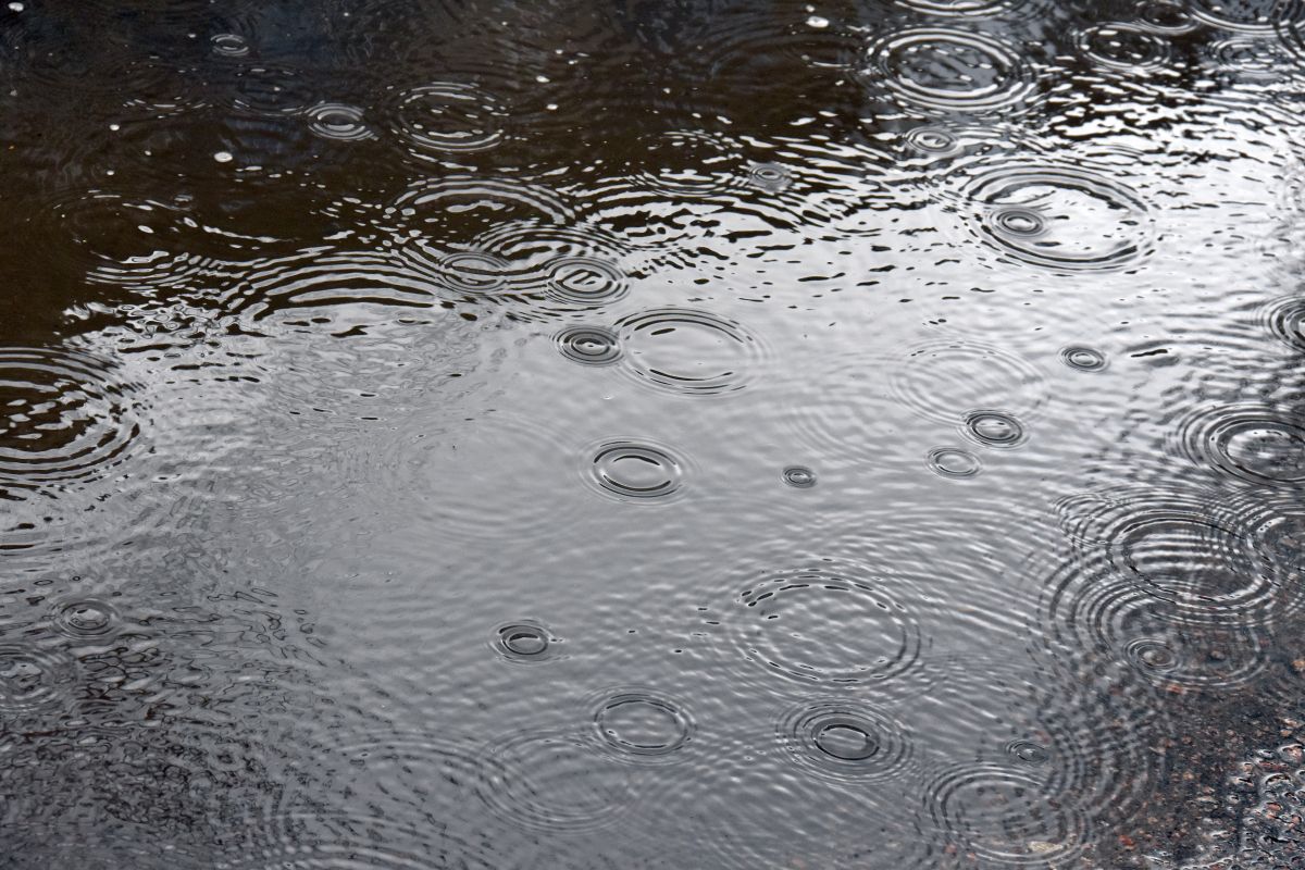 Похолодание до&nbsp;0° нагрянет в&nbsp;Воронеж