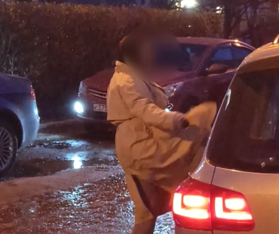 «Давай убирай машину!» Неадекватная воронежанка с ножом набросилась на машины у школы