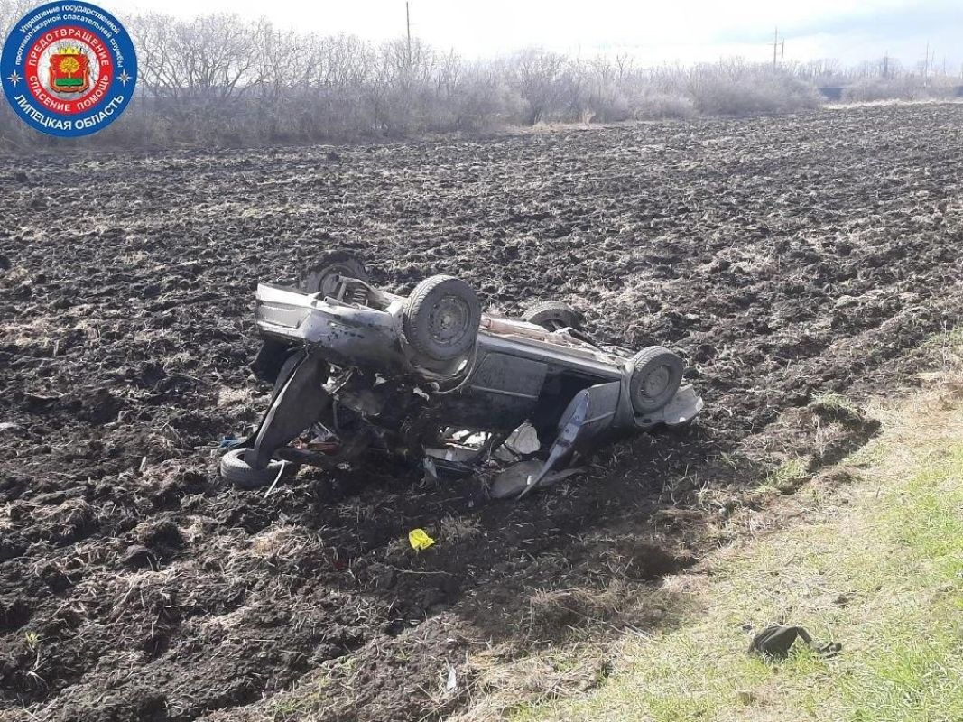 Перевертыша нашли на&nbsp;вспаханном поле под&nbsp;Липецком