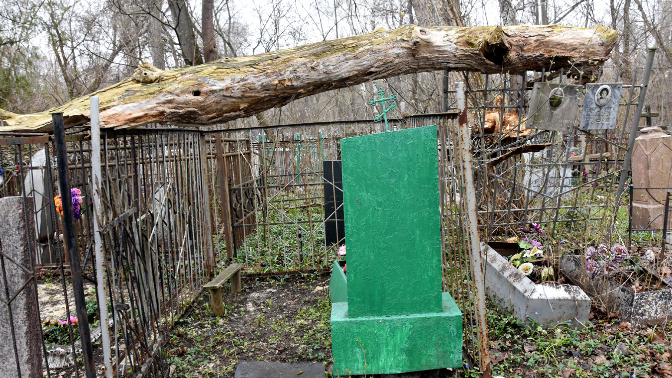 Не на жизнь, а на смерть...