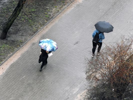 Когда прекратятся дожди в Воронеже