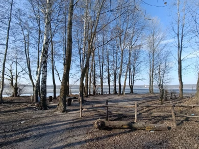 Пожар в общежитии и замерзающие горожане. Главные новости Воронежа и области за 12 апреля