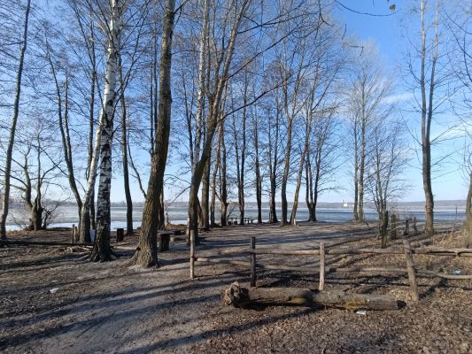 Пожар в общежитии и замерзающие горожане. Главные новости Воронежа и области за 12 апреля