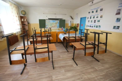 Полиция прокомментировала инцидент с распылённым в воронежской школе перцовым баллончиком