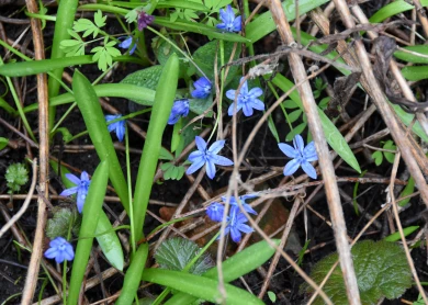 Прогноз погоды в Воронеже на среду, 15 апреля