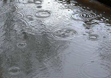 Дожди не покинут Воронеж