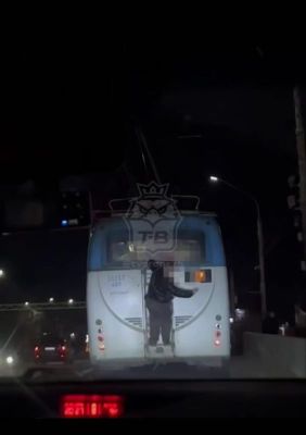 Полиция прокомментировала инцидент со школьником-зацепером на воронежском троллейбусе