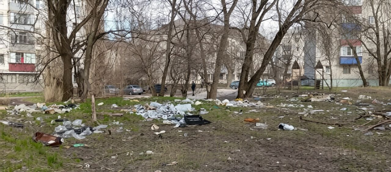 Мэра Липецка и депутатов Горсовета просят подключиться к уборке города