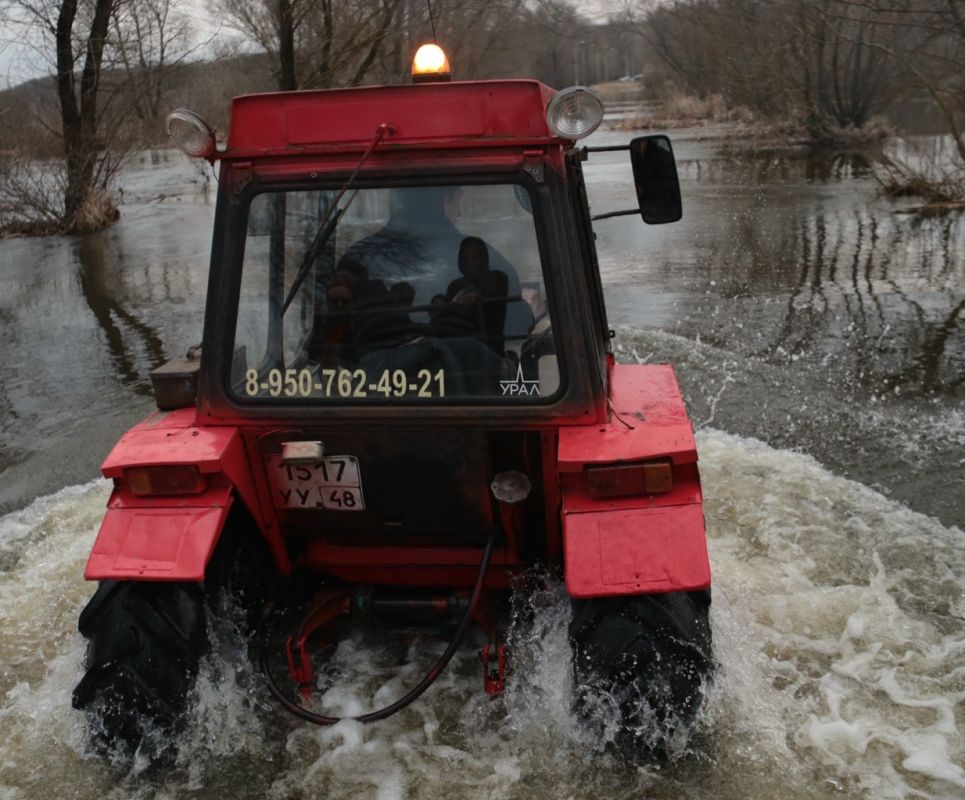 Кафе и лавку закрыли из-за разлива в популярном парке под Воронежем&nbsp;
