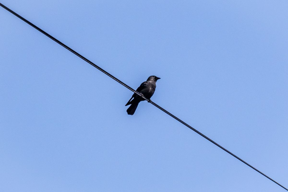 Прогноз погоды в&nbsp;Воронеже на&nbsp;пятницу, 17 апреля