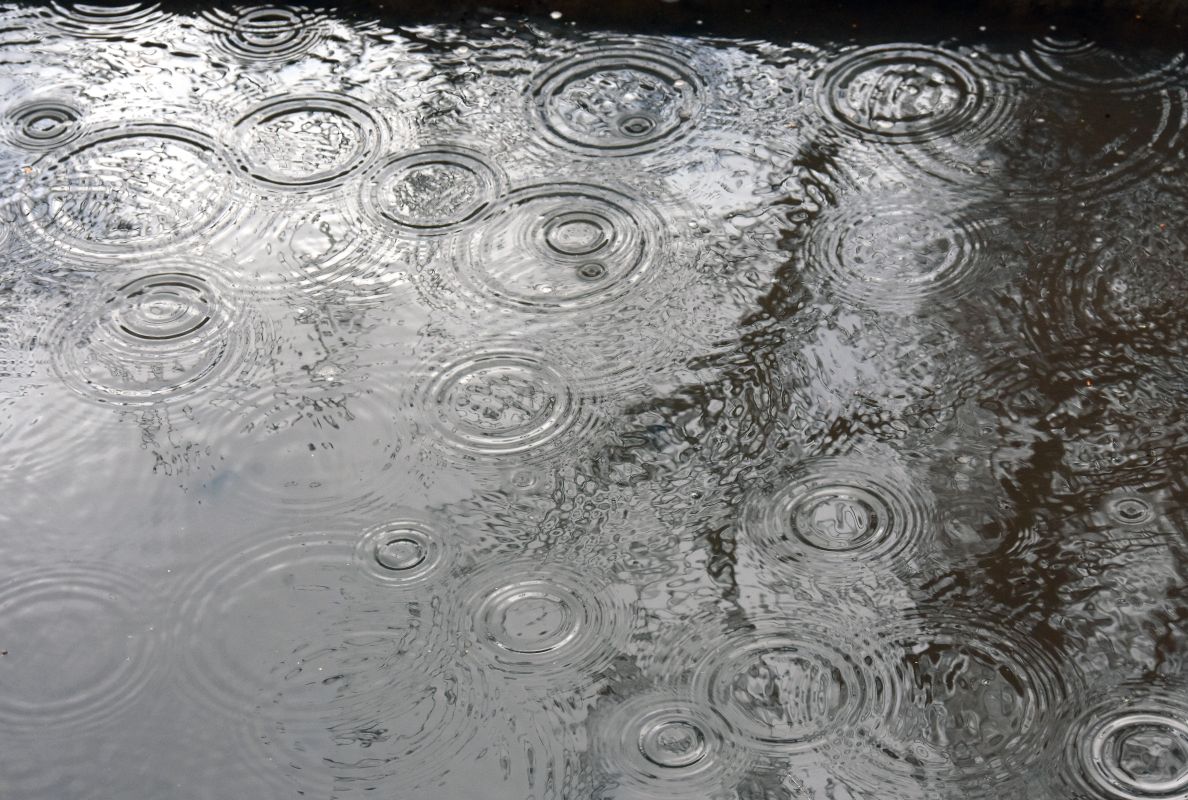 Дожди отступят? Прогноз погоды в&nbsp;Воронеже на&nbsp;выходные