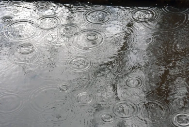 Дожди отступят? Прогноз погоды в Воронеже на выходные