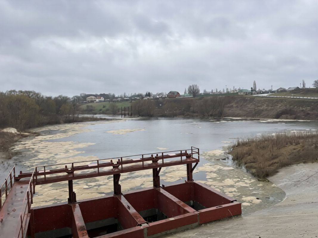 В липецком селе пруд после ремонта плотины превратился в болото