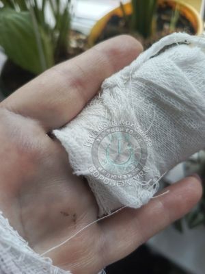 СК возбудил уголовное дело после того, как воронежанка сломала палец в автобусе