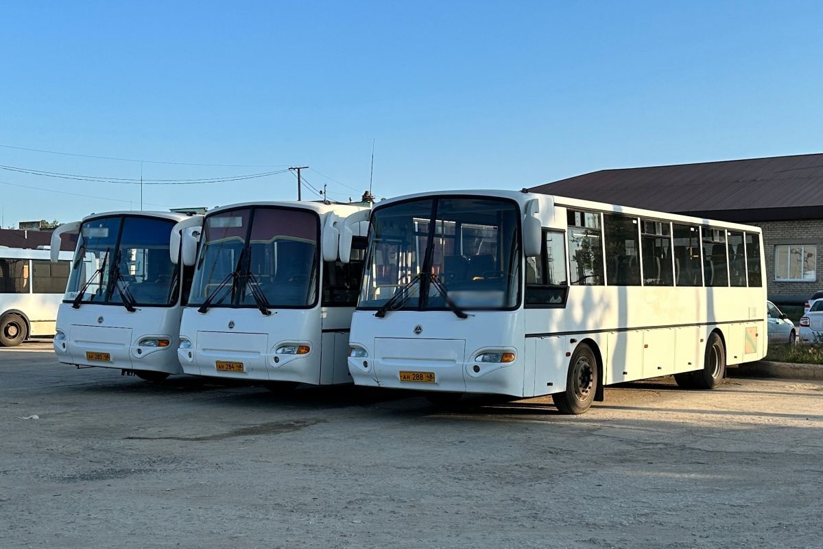 В Липецкой области автобусы ходят с 9-часовым интервалом