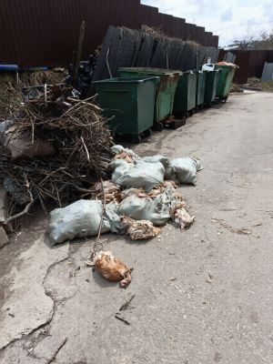 На белгородской улице обнаружили мешки с мертвыми курами