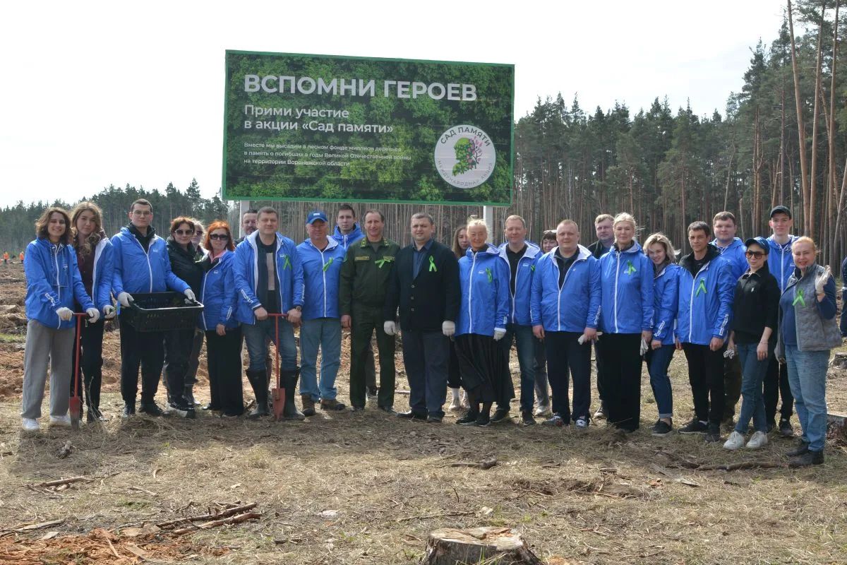 Под Воронежем высадили лес в&nbsp;память о&nbsp;героях Отечественной войны и&nbsp;СВО &nbsp;