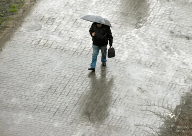 Дожди отменяются. Сколько продлится передышка от осадков в Воронеже