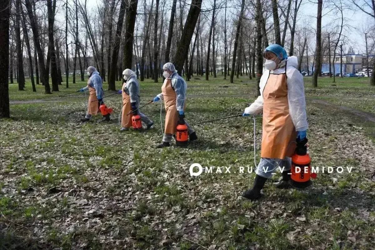 В парках Белгорода распылят отраву: людей и псов просят воздержаться от прогулок