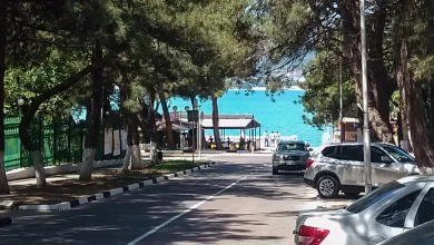 Опасно ли ехать отдыхать в Анапу и почему в Геленджике высокие цены