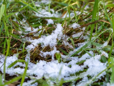 Снег вновь нагрянет в Воронеж