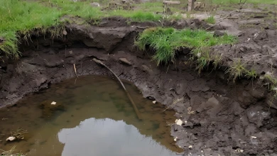 Жители ЖК в Белгороде второй месяц тонут в фекалиях из-за бесхозной канализации