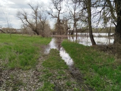 Тропа «Легенды Хопра» ушла под воду в Воронежской области