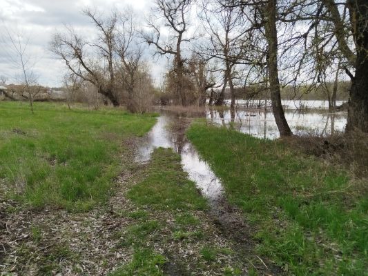 Тропа «Легенды Хопра» ушла под воду в Воронежской области