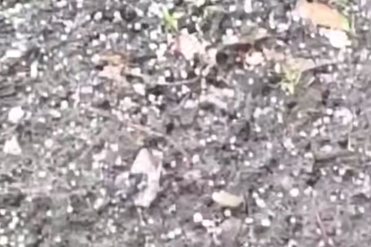 Град выпал в&nbsp;Воронежской области (ВИДЕО)