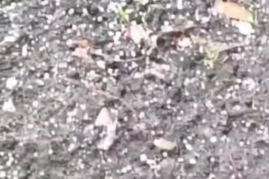 Град выпал в Воронежской области (ВИДЕО)